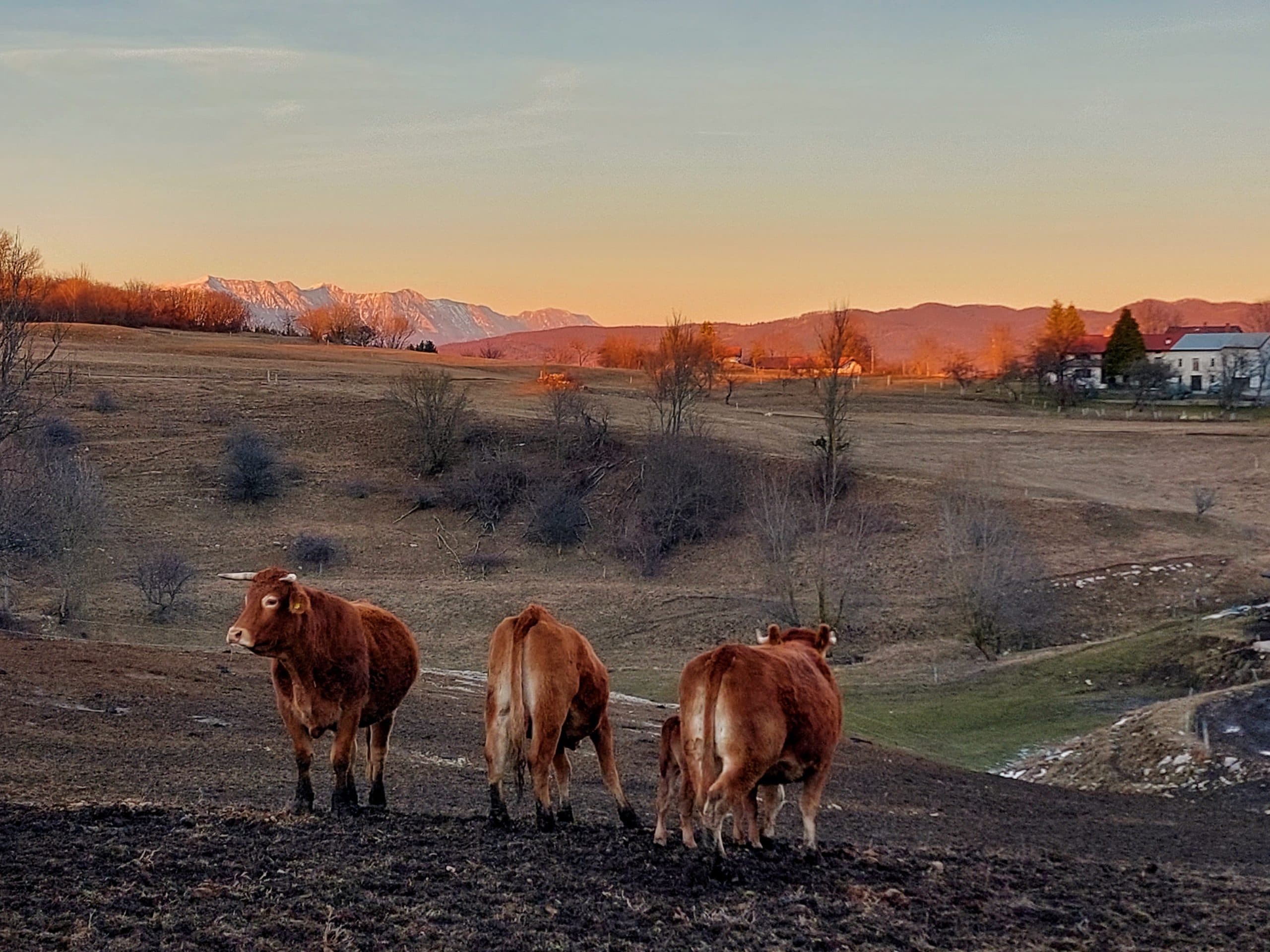 blog voyage slovenie nova gorica