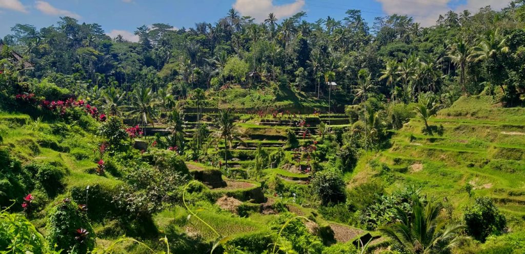 Bali