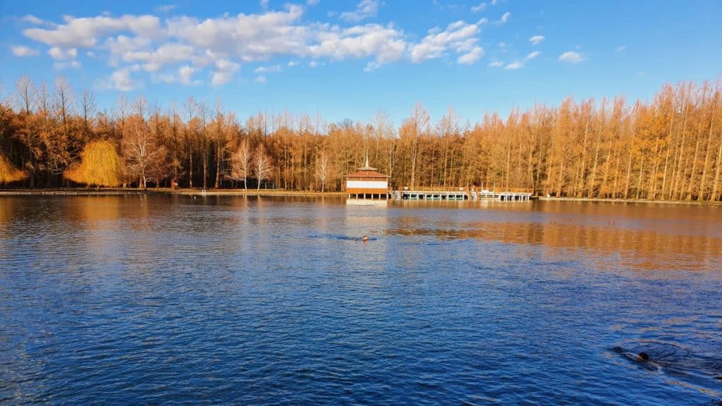 lac héviz que voir en Hongrie